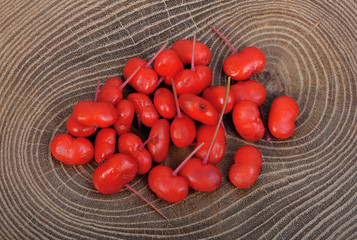Wild panax ginseng with berries. A close up berrys ginseng. Macro