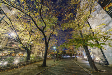 Night view of the beautiful Gion district