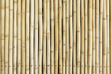 Bamboo fence Background