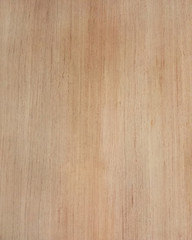 Naklejka premium Wood floor texture