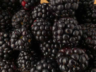 Blackberries close up, glass full of blackberries