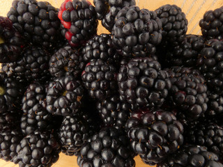 Blackberries close up, glass full of blackberries
