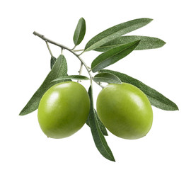 Double green olives isolated on white