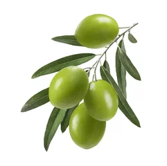 Tuinposter Vertical green olive branch isolated on white background © kovaleva_ka