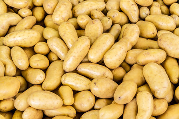 Lot of washed potato tubers. Food background.