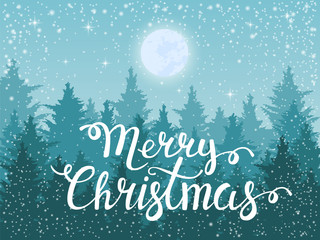 Winter night fir tree forest. Vector Christmas background for greeting card or flyer.