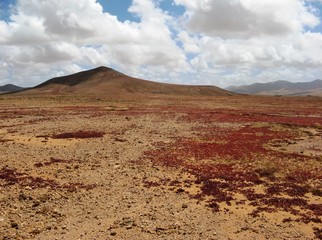 Krajobraz wyspy Fuerteventura, Hiszpania