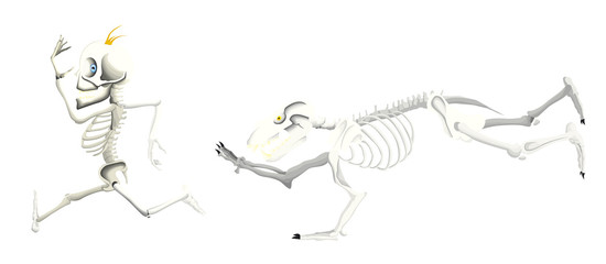 squelette d'un ours et d'un homme se courant après