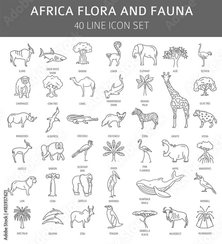 Unduh 58 Gambar Flora Fauna Simple Terbaik 