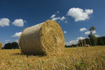 A big circle of hay on the field © darekb22