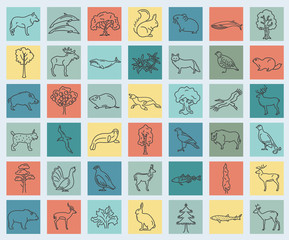 Flat European flora and fauna  elements. Animals, birds and sea life simple line icon set