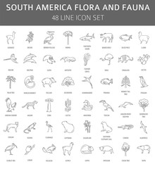 Fototapeta na wymiar Flat South America flora and fauna elements. Animals, birds and sea life simple line icon set