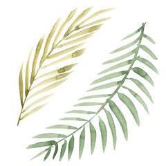 Watercolor floral set. Colorful green floral collection with leaves, drawing watercolor. Set of floral elements for your compositions.