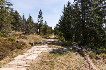 Rocky path in the National park Krkonose Giant mountains, Czech Republic