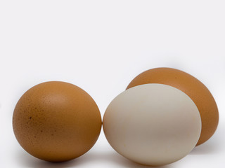 (Closeup) Duck eggs and Chicken eggs.