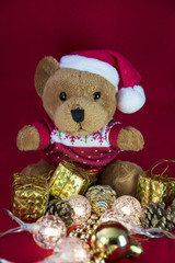 TEddy Bear in red winter