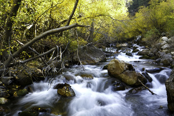 Stream in fall