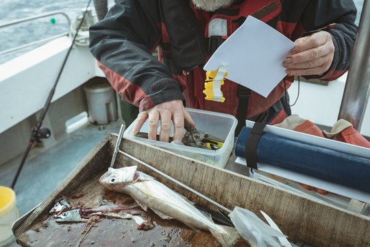 Fisherman maintaining record of hand tool