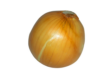 onion on white background