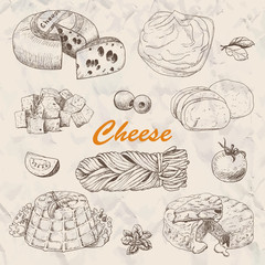 Vector collection of different kinds of cheese