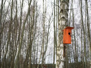 Bird House In Winter