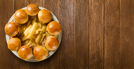 Pulled pork sandwiches with BBQ sauce and onion