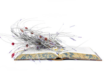 Old Book, Open Pages with Dried Flower arrangement on White Background