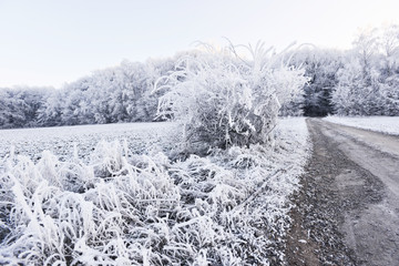 Frozen landscape around Karlstejn Castle in Beroun district, located about 30 kilometres southwest of Prague.