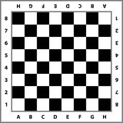 Chessboard background. Empty chess board. Board for chess playing. Vector illustration.