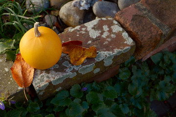 Autumn leaves and orange gourd on weathered brick wall