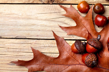 Dried acorn on oak leaf on oak leaf.Wooden background.Autumn background.Closeup.Copy space