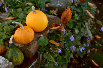 Three small ornamental gourds on a rustic brick wall