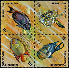 REPUBLIC OF BURUNDI - CIRCA 1974: stamps, printed in Burundi, shows a fishes: Balistes vetula,...