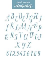 Script font alphabet written with a brush. Vector alphabet.