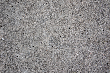 Small beach crap in its hole close up.