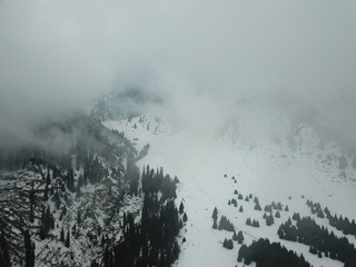 Snowy mountain landscape with trees - aerial view