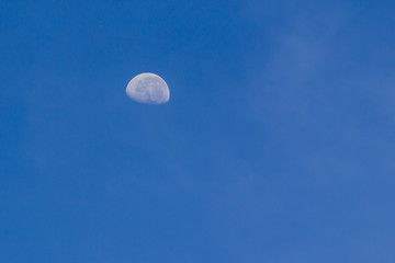 Haft moon in the blue sky while morning.