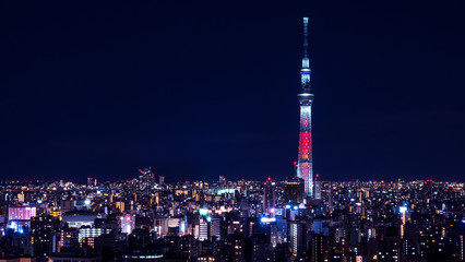 Fototapeta na wymiar Tokyo cityscape Night light 1