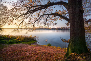 Herbst am Kalksee