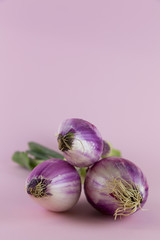 organic onion with stem