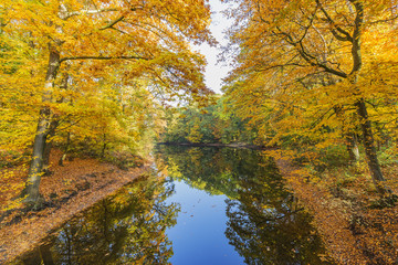 Fototapeta na wymiar Breathtaking Autumn Landscape at Krefeld / Germany