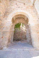 Fototapeta na wymiar detail of Alcantara Gate, landmark and monument from ancient arab age, public pedestrian access to Toledo city, Spain, Europe. 