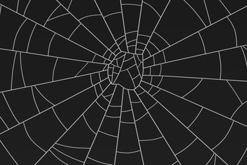 Realistic 3D Render of Cobweb