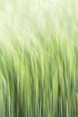 Abstract Grain Background