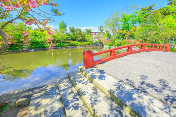 Bridge and flowered garden during hanami inside Tsurugaoka Hachimangu complex, one of the main...