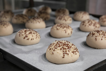 Buns with sesame on baking tray