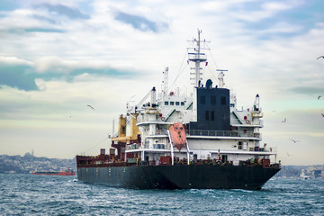 Naklejka premium Cargo Boat