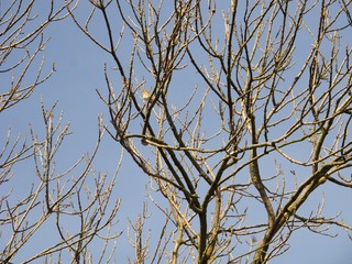 Empty Nest