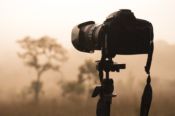 DSLR camera is on tritod with landscape forest background as in warm tone.