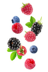 berry mix isolated on a white background - 183970281
